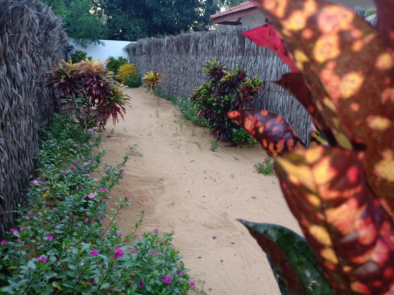 Sunset Safari & Resort Kalpitiya Exterior foto
